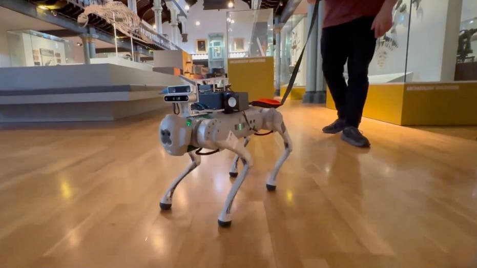 Ai Powered Seeing Robot Guide Dog Provides New Leash On Life For The Blind