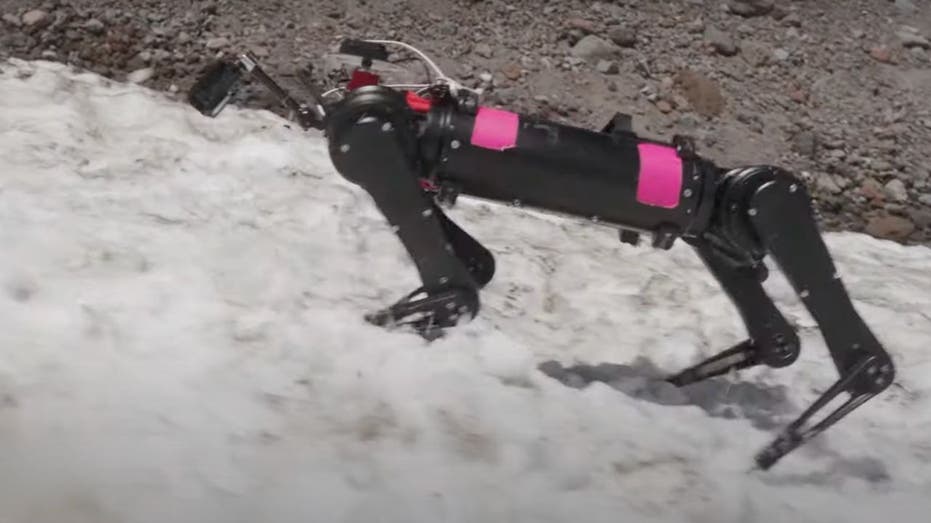 Crazy Strong Robotic Dogs Gear Up For Moon Mission