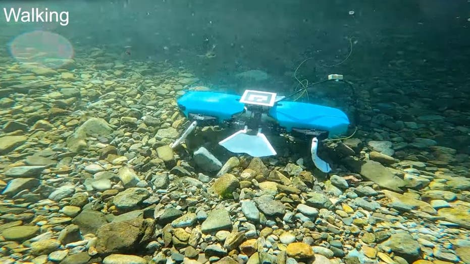 The Shape Shifting Underwater Robot Pioneering The Depths Of The Sea