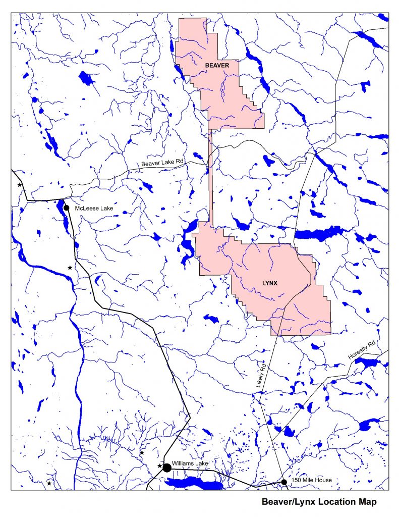 Exploring The Future Of Clean Energy With Inomin Mines’ (tsxv:mine) Beaver Lynx Project