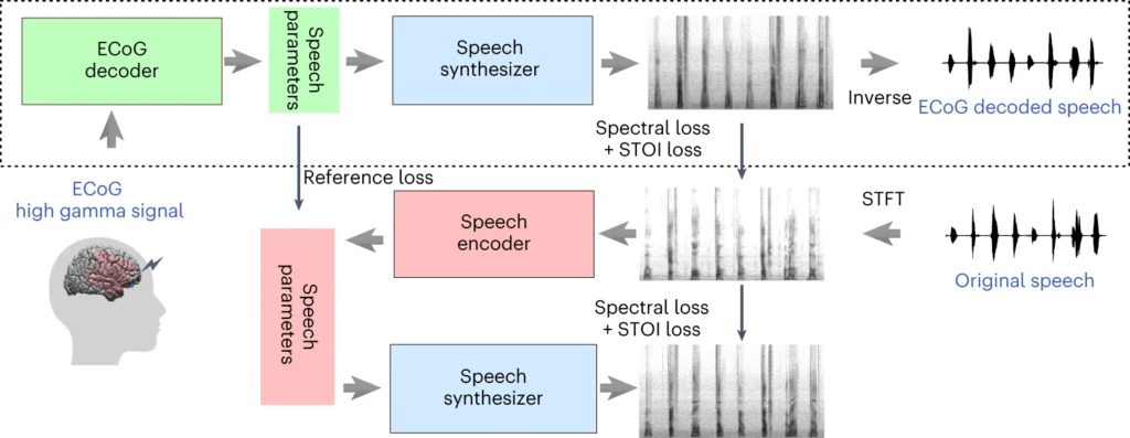 Nyu Researchers Build A Groundbreaking Ai Speech Synthesis System