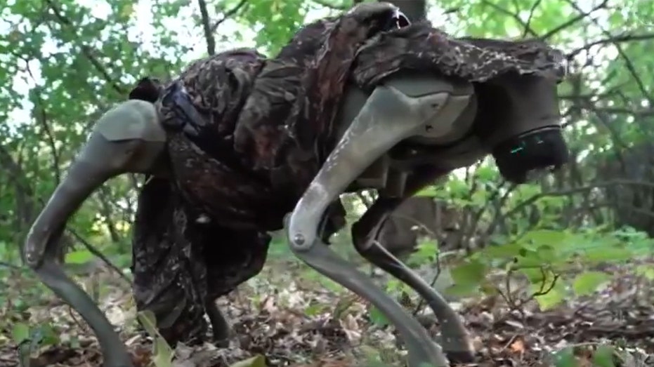 Ukraine Shows Off Capabilities Of New Drone Dropped, Flamethrowing Robotic War Dogs: Video