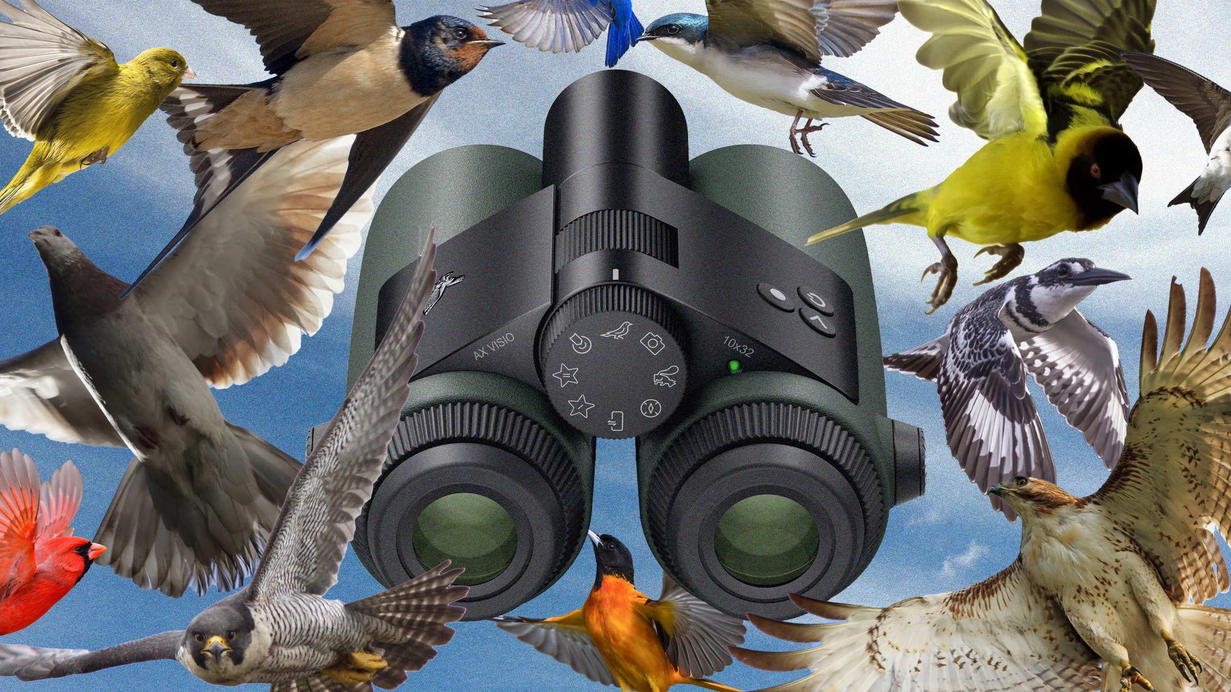 I Went Birding With The World’s First Ai Powered Binoculars