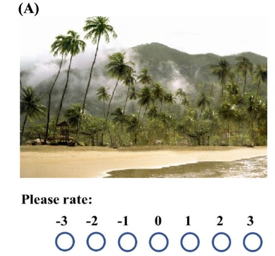 Ai System Can Predict How Anxious You Are From Reactions To Photos